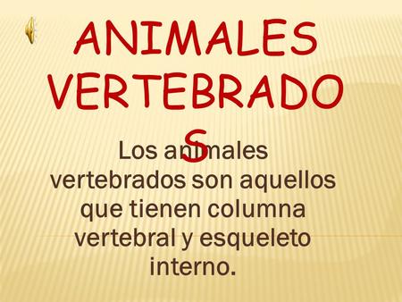 ANIMALES VERTEBRADOS Los animales vertebrados son aquellos que tienen columna vertebral y esqueleto interno.