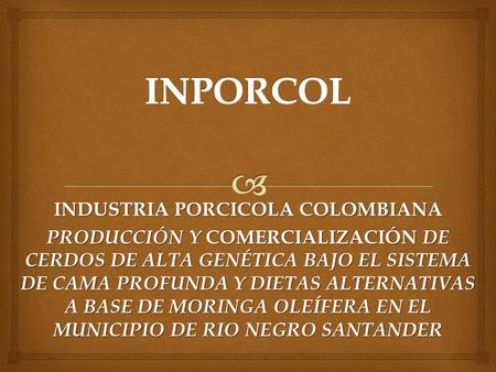 INDUSTRIA PORCICOLA COLOMBIANA