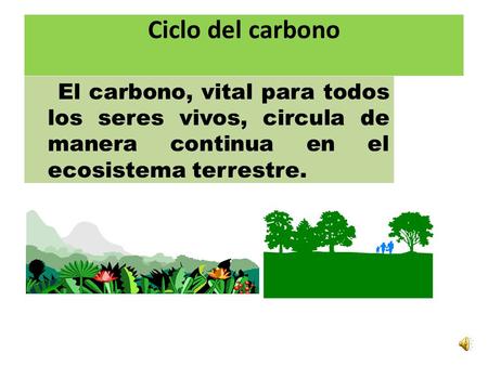 Ciclo del carbono El carbono, vital para todos los seres vivos, circula de manera continua en el ecosistema terrestre.