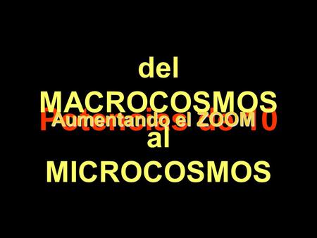 del MACROCOSMOS al MICROCOSMOS