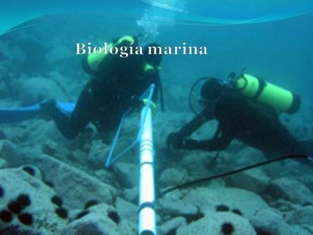Biología marina.
