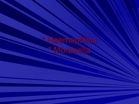 * Haemophilus * Moraxella