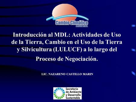 Introducción al MDL: Actividades de Uso de la Tierra, Cambio en el Uso de la Tierra y Silvicultura (LULUCF) a lo largo del Proceso de Negociación. LIC.