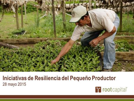 Iniciativas de Resiliencia del Pequeño Productor 28 mayo 2015.