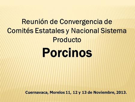 Reunión de Convergencia de Comités Estatales y Nacional Sistema ProductoPorcinos Cuernavaca, Morelos 11, 12 y 13 de Noviembre, 2013.