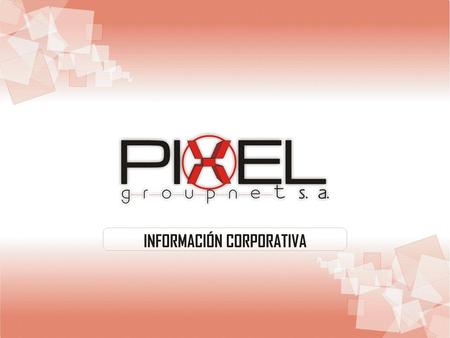 ¿Quiénes somos? Pixel Group Net S.A. es una sociedad anónima creada en abril de 2006 con el objeto de ser una empresa de tecnología con un alto.