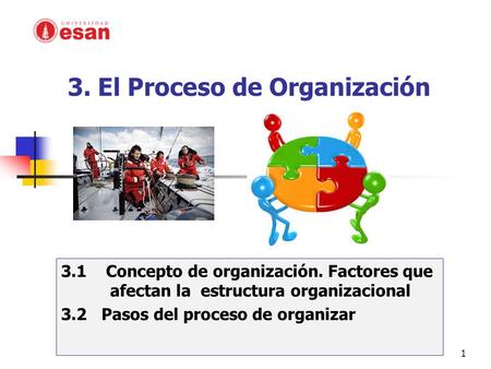 3. El Proceso de Organización