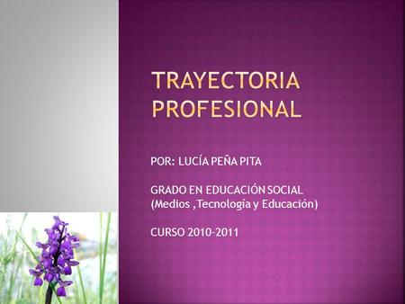 POR: LUCÍA PEÑA PITA GRADO EN EDUCACIÓN SOCIAL (Medios,Tecnología y Educación) CURSO 2010-2011.