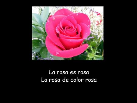 La rosa es rosa La rosa de color rosa. El mar es azul azul claro, azul oscuro.