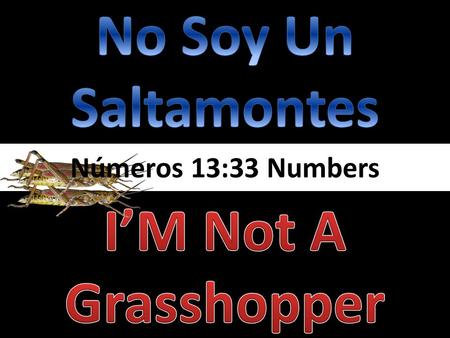 No Soy Un Saltamontes I’M Not A Grasshopper
