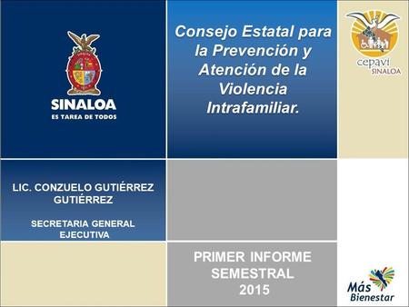 Consejo Estatal para la Prevención y Atención de la Violencia Intrafamiliar. LIC. CONZUELO GUTIÉRREZ GUTIÉRREZ SECRETARIA GENERAL EJECUTIVA PRIMER INFORME.