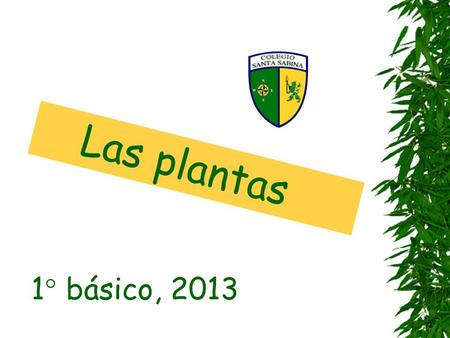 Las plantas 1° básico, 2013.