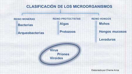 CLASIFICACIÓN DE LOS MICROORGANISMOS