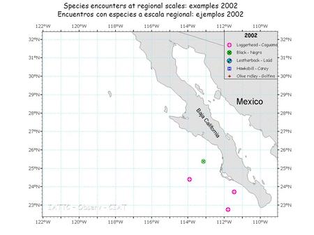 Species encounters at regional scales: examples 2002 Encuentros con especies a escala regional: ejemplos 2002.