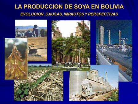 LA PRODUCCION DE SOYA EN BOLIVIA