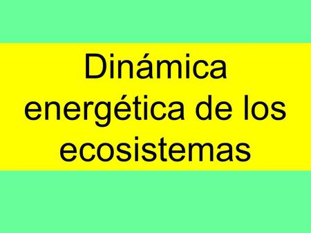 Dinámica energética de los ecosistemas