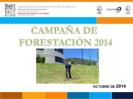 CAMPAÑA DE FORESTACIÓN 2014