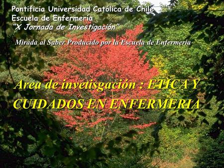 Area de invetisgación : ETICA Y CUIDADOS EN ENFERMERIA Pontificia Universidad Católica de Chile Escuela de Enfermería “X Jornada de Investigación” Mirada.