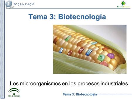Los microorganismos en los procesos industriales