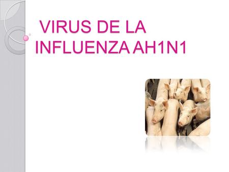 VIRUS DE LA INFLUENZA AH1N1