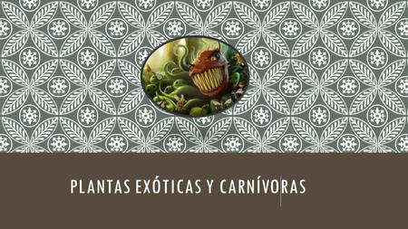 Plantas exóticas y carnívoras
