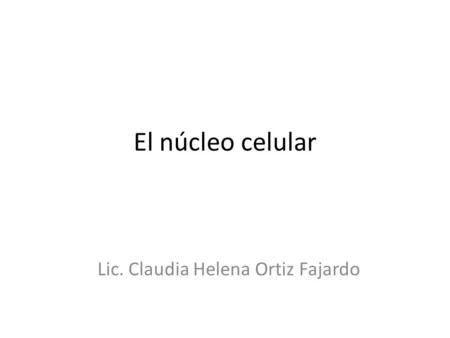 Lic. Claudia Helena Ortiz Fajardo