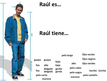 Raúl es… Raúl tiene… Ojos azules pelo largo Ojos negros guapa guapo