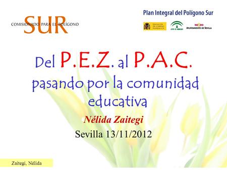 Zaitegi, Nélida Del P.E.Z. al P.A.C. pasando por la comunidad educativa Nélida Zaitegi Sevilla 13/11/2012.