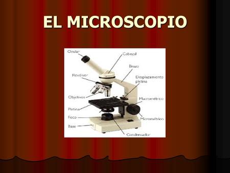EL MICROSCOPIO.