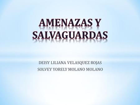 AMENAZAS Y SALVAGUARDAS