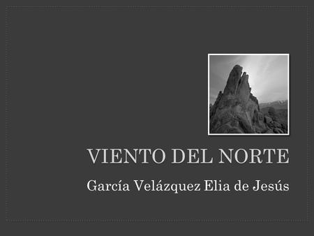 García Velázquez Elia de Jesús VIENTO DEL NORTE. Avance de nuevos productos VIENTO DEL NORTE.