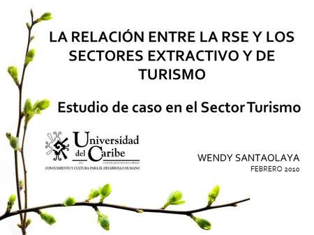 LA RELACIÓN ENTRE LA RSE Y LOS SECTORES EXTRACTIVO Y DE TURISMO WENDY SANTAOLAYA FEBRERO 2010 Estudio de caso en el Sector Turismo.