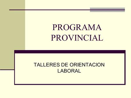 PROGRAMA PROVINCIAL TALLERES DE ORIENTACION LABORAL.