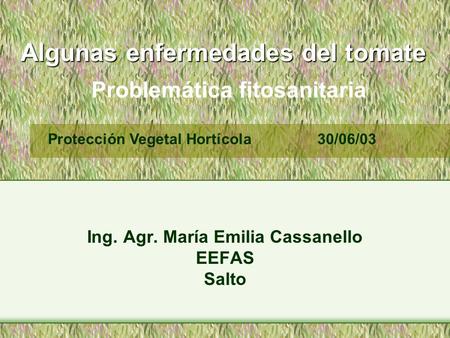 Algunas enfermedades del tomate Ing. Agr. María Emilia Cassanello EEFAS Salto Protección Vegetal Hortícola 30/06/03 Problemática fitosanitaria.