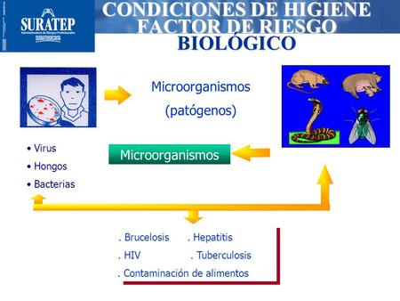 CONDICIONES DE HIGIENE FACTOR DE RIESGO BIOLÓGICO