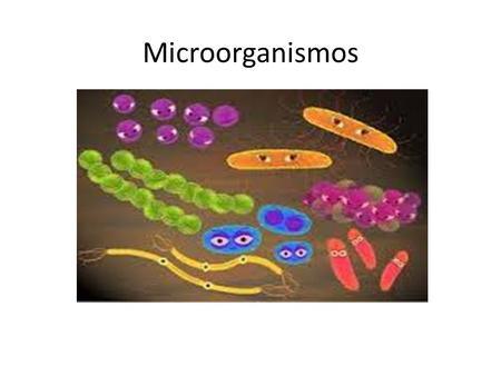 Microorganismos.