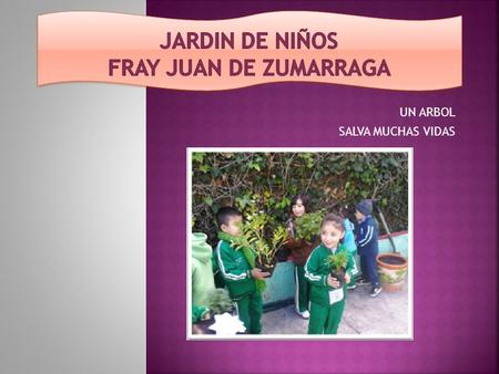 JARDIN DE NIÑOS FRAY JUAN DE ZUMARRAGA