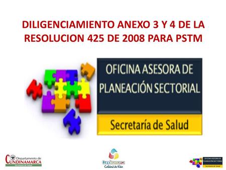 DILIGENCIAMIENTO ANEXO 3 Y 4 DE LA RESOLUCION 425 DE 2008 PARA PSTM.