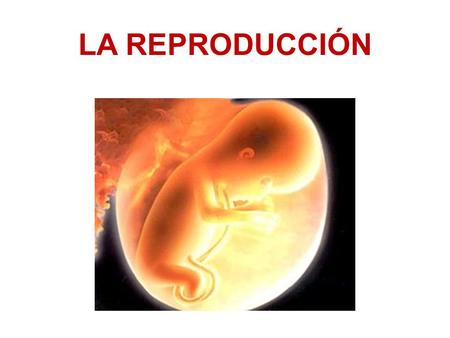 LA REPRODUCCIÓN.