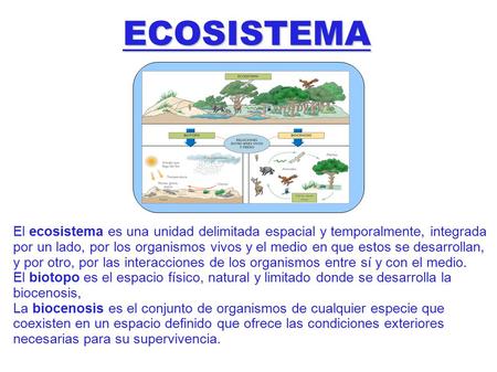 ECOSISTEMA El ecosistema es una unidad delimitada espacial y temporalmente, integrada por un lado, por los organismos vivos y el medio en que estos se.