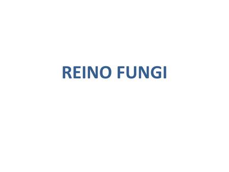 REINO FUNGI.