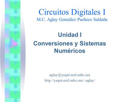 Circuitos Digitales I M.C. Aglay González Pacheco Saldaña