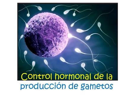 Control hormonal de la producción de gametos