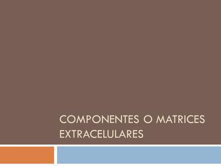 Componentes O MATRICES Extracelulares