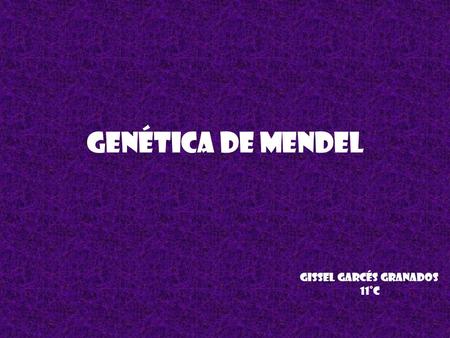 Genética de mendel Gissel Garcés granados 11°c. Genética mendeliana Sin conocer nada acerca de los cromosomas, genes o ácidos nucleícos y gracias espíritu.