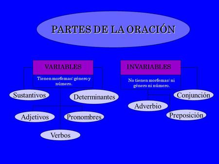 PARTES DE LA ORACIÓN Sustantivos Determinantes Conjunción Adverbio