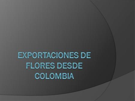  En poco más de 30 años la floricultura colombiana ha pasado de exportar unos cuantos miles de dólares anuales a vender en el exterior más de 500 millones.