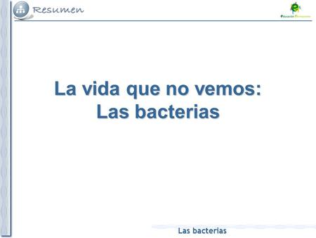 La vida que no vemos: Las bacterias