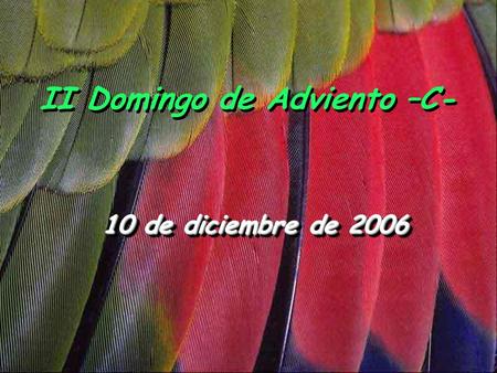 II Domingo de Adviento –C- 10 de diciembre de 2006.