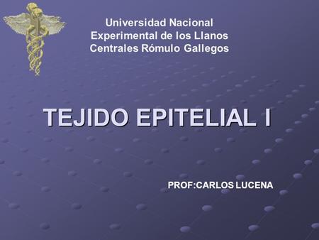Universidad Nacional Experimental de los Llanos Centrales Rómulo Gallegos TEJIDO EPITELIAL I PROF:CARLOS LUCENA.